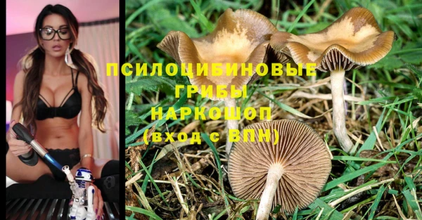 Альфа ПВП Осташков