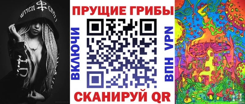Галлюциногенные грибы мицелий  Петровск-Забайкальский 